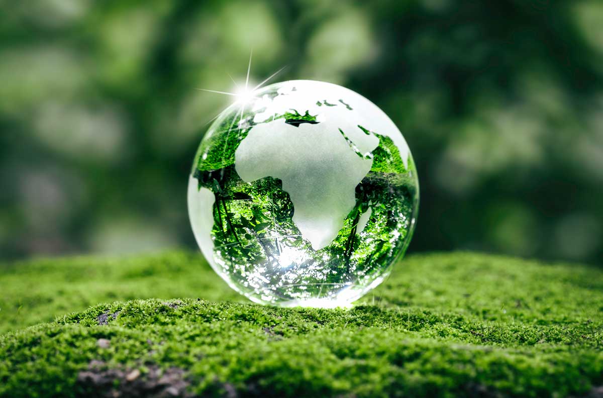 TFS HealthScience Earns Elevated Score from Carbon Disclosure Project (CDP)