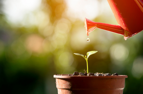 Sustainability in Clinical Research
